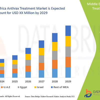 Middle East and Africa Anthrax Treatment Market Size Growth Opportunities and Competitive Outlook Profile Picture