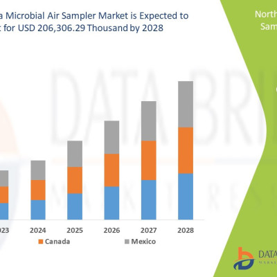 North America Microbial Air sampler Market Size, Trends, Demand and Competitive Outlook Profile Picture
