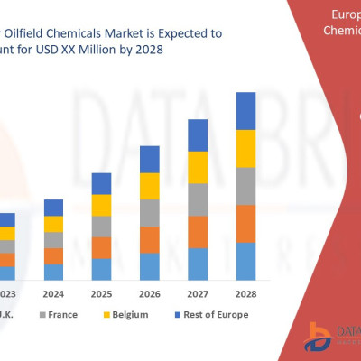 Europe Specialty Oilfield Chemicals Market Size, Trends, Growth and Opportunity Analysis Profile Picture