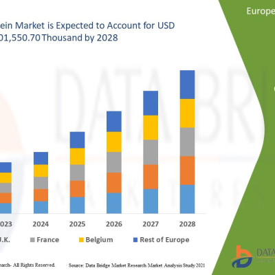 Europe Pulse Protein Market Size, Growth Opportunities and Competitive Outlook Profile Picture
