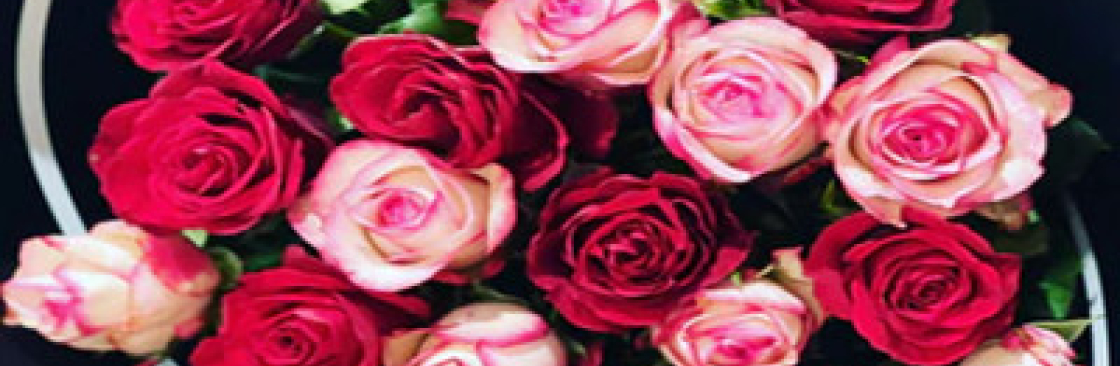 Mathews Camroon Cover Image