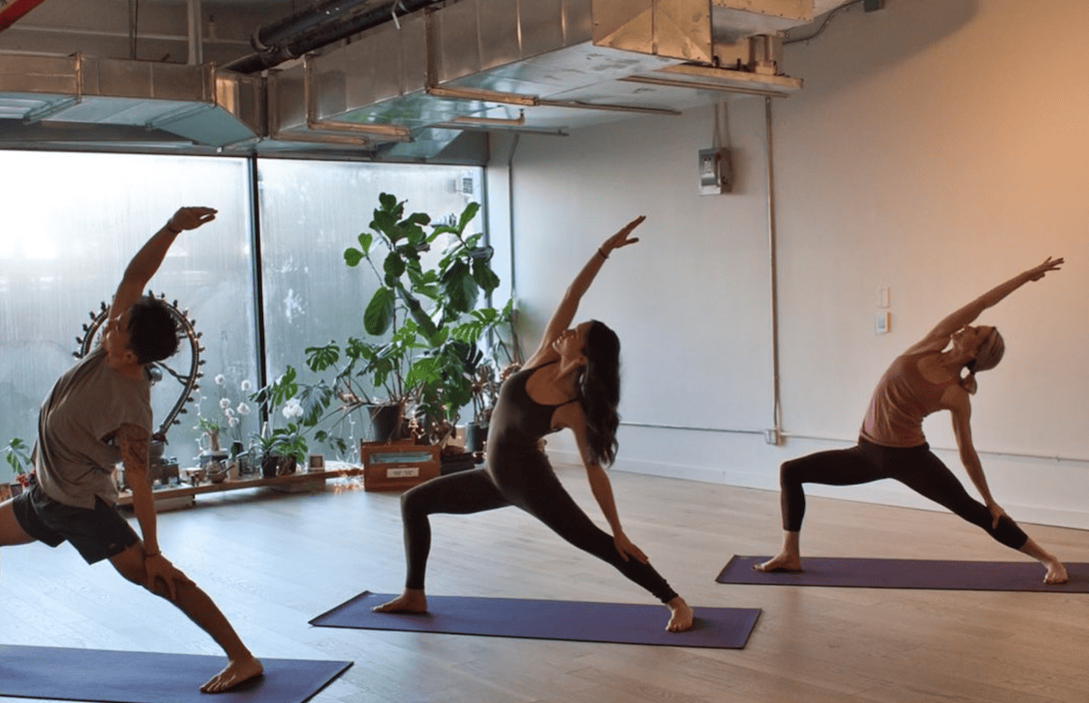 5 Things How Yoga Studios in Brooklyn Are Changing the Wellness Game - Bioneers Live