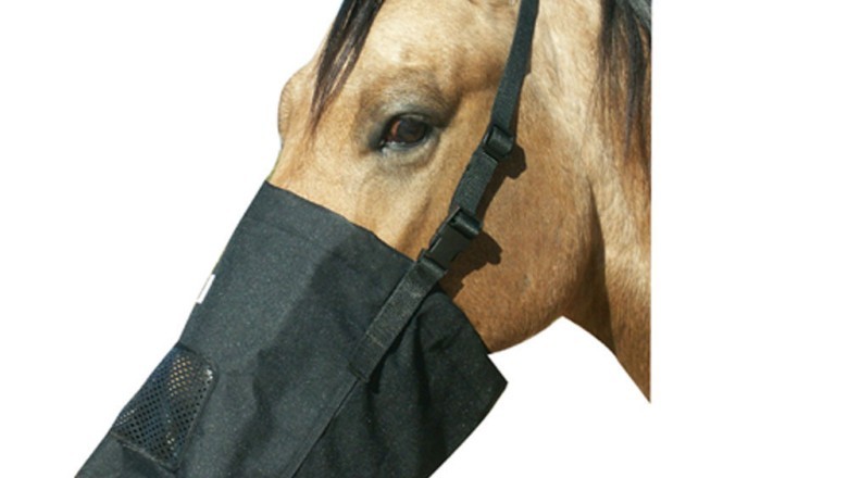 How to Choose the Right Equine Feed Bag for Your Horse’s Needs | Websyndic