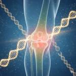 z1 kneebrace Profile Picture