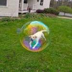 alice242808 Profile Picture