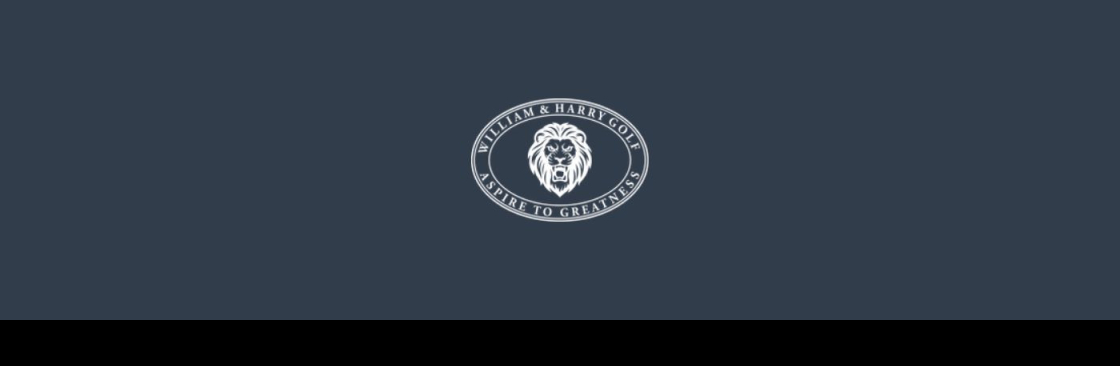 WILLIAM AND HARRY HOLDINGS INC Cover Image