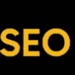 seo curly Profile Picture