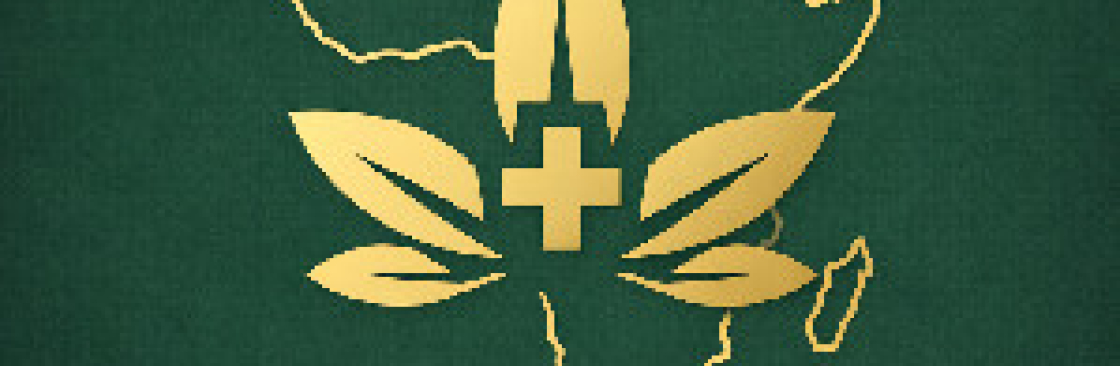 Afrochidi Botanicals Cover Image