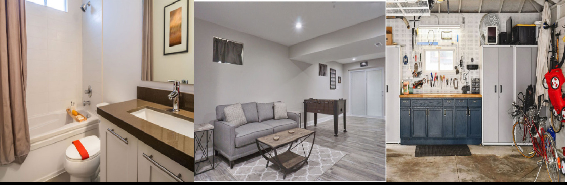 The Mold Genius Cover Image