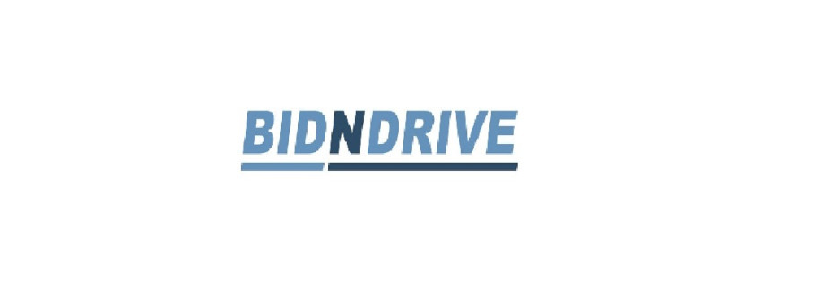 Bidndrive Cover Image