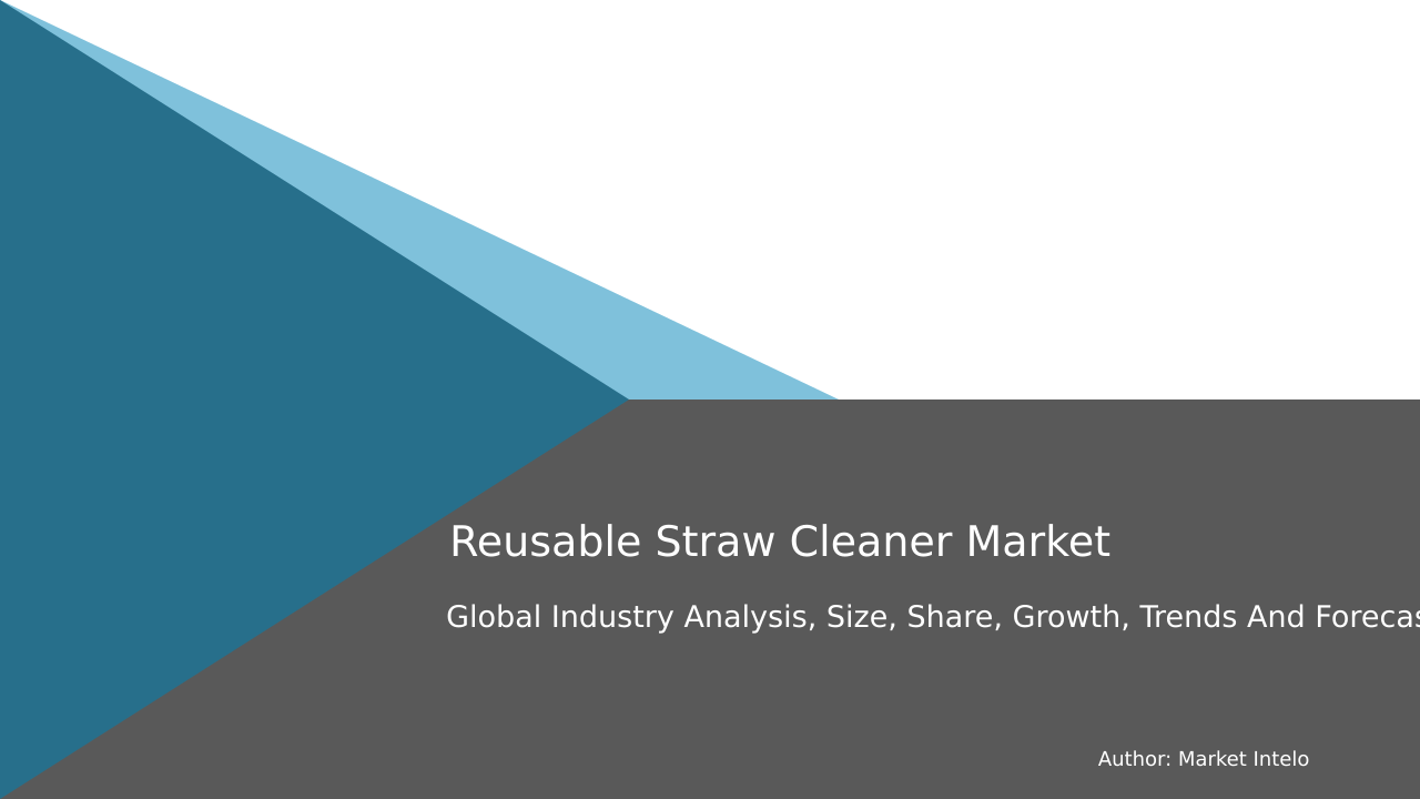 Reusable Straw Cleaner Market Research Report 2033