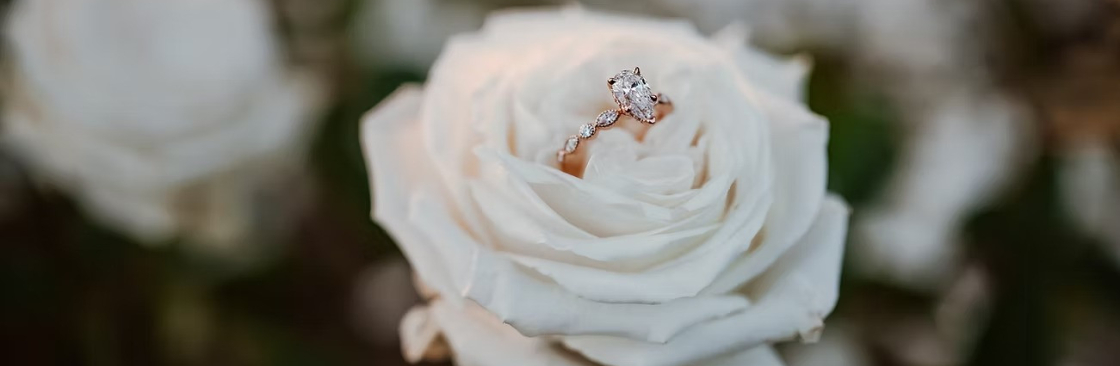 Certified Cupid Cover Image