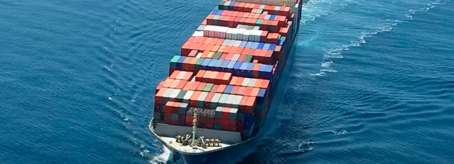 zipplinc Cover Image