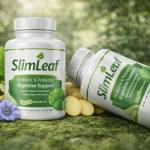 Slimleafe profile picture