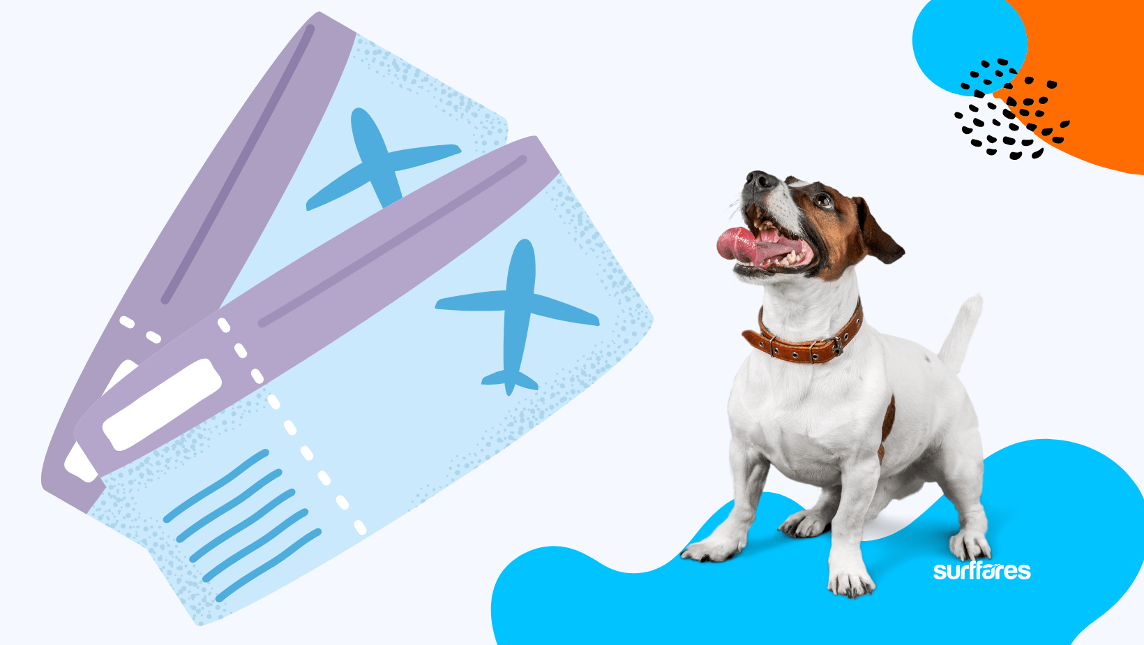 Air India Pet Policy: Does Air India Allow Pets On International Flights? - Surffares