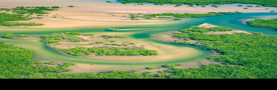 Senegal Secret Secret Cover Image