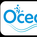 Ocean Reef Hotel Profile Picture