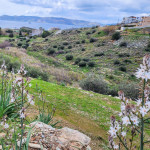 Greece Invests Profile Picture