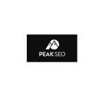 Peak SEO Profile Picture