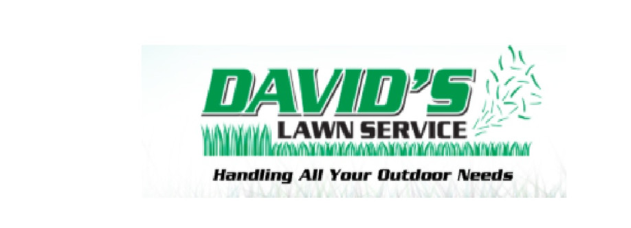 David s Lawn Service Cover Image