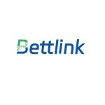 Bettlink Electronic Limited Profile Picture