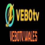 VEBOTV Profile Picture
