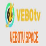 VEBOTV Profile Picture