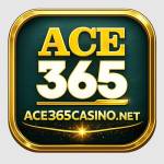 ace365 Profile Picture