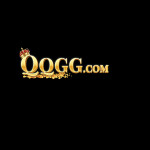 QQGG QQGG Profile Picture