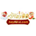 HAY88 VI COM Profile Picture