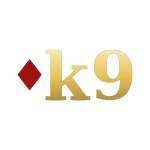 Ok9 Vietnam Online Profile Picture